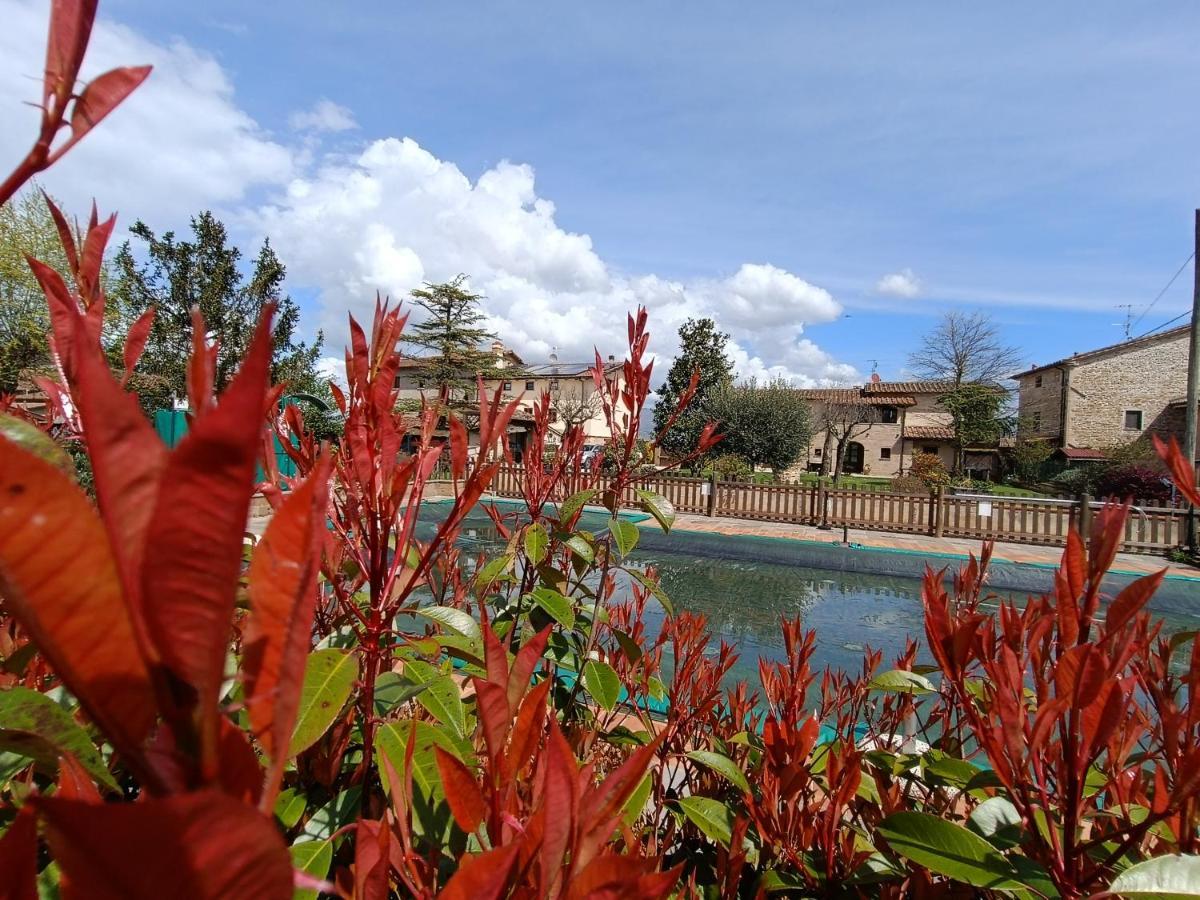 Podere Casenove Citerna Dış mekan fotoğraf